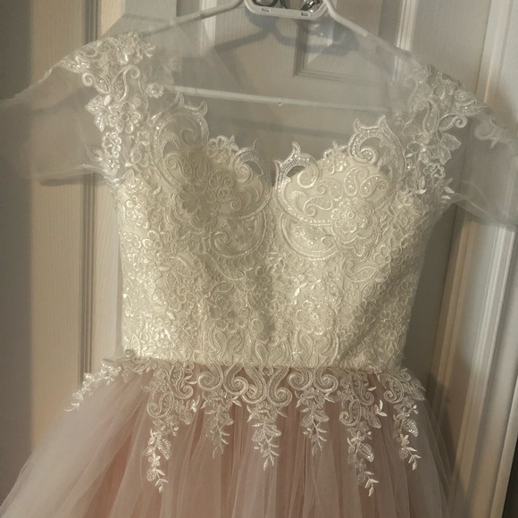 Blush and ivory Princess Prom / Wedding Gown - Small - Picture 4 of 7